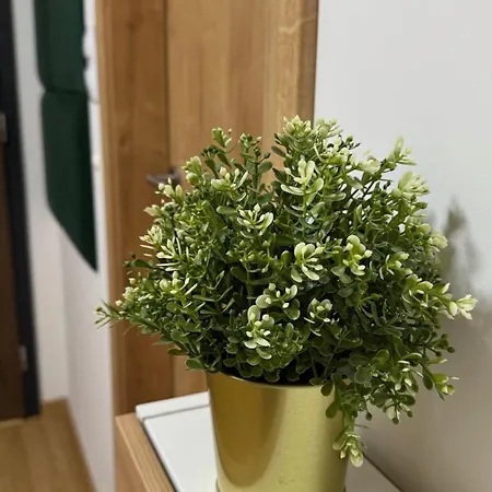 Appartement Prestige - Next To Ice Arena, Private Parking *