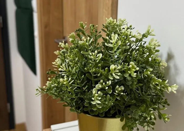 アパート Prestige - Next To Ice Arena, Private Parking *